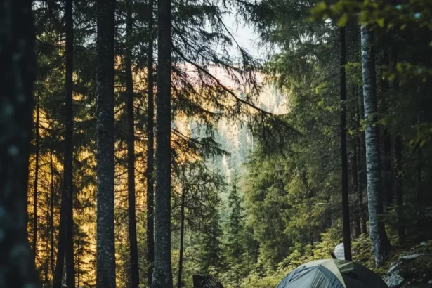 Was ist Stealth Camping eigentlich genau?